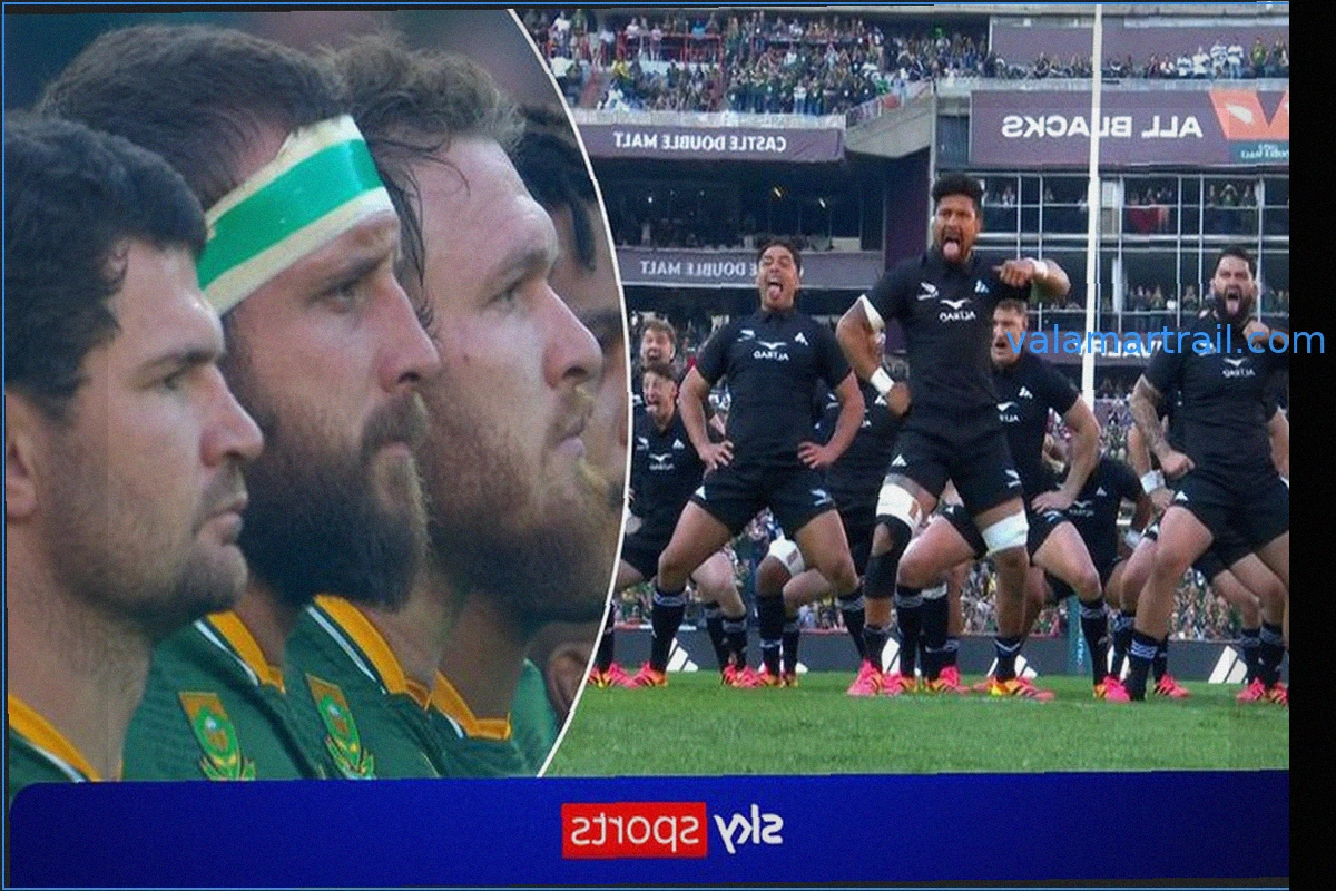 Los All Blacks derrotan a los Springboks en el primer partido de la serie